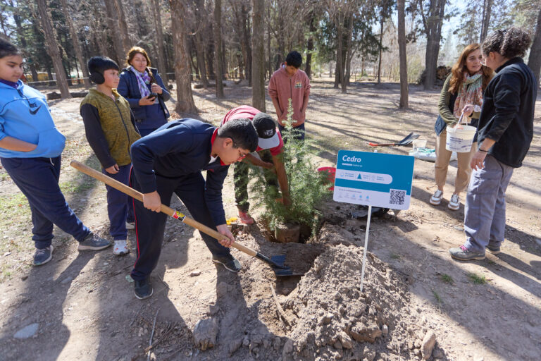 En la Semana de la Forestación, Irrigación plantó más de 40 árboles en el dique Cipolletti