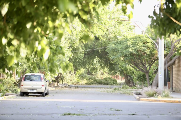 Reporte general de la Provincia sobre los daños causados por el viento zonda