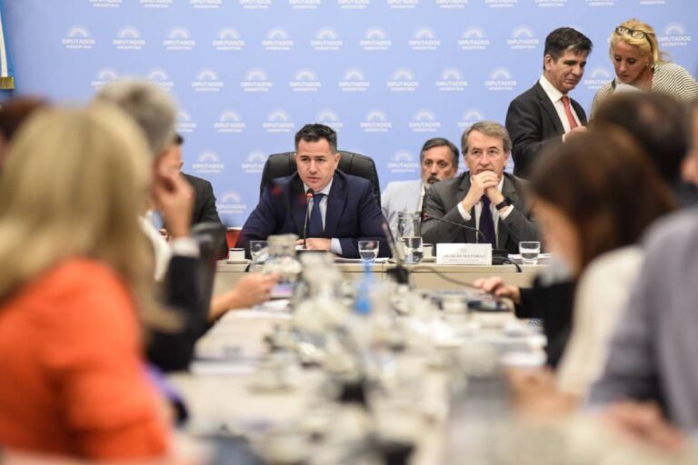 El oficialismo buscará firmar hoy el dictamen de Ley Ómnibus.