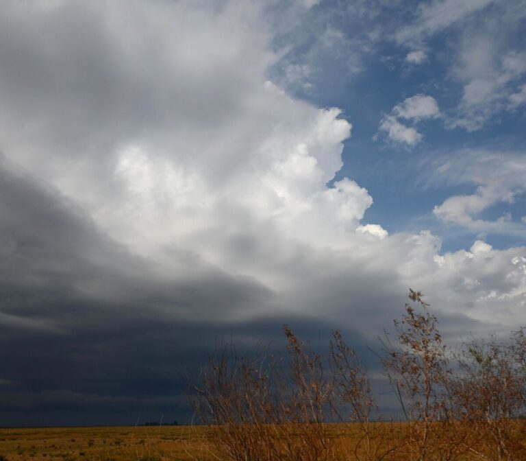 Pronóstico para Mendoza.