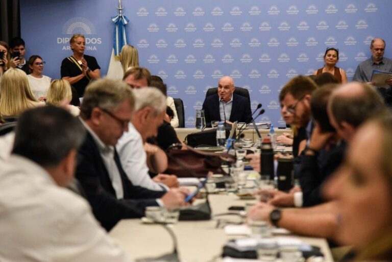 Comienza el debate de la Ley Ómnibus en Diputados