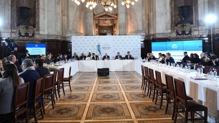 Ley Bases en el Senado: el oficialismo confía en tener dictamen