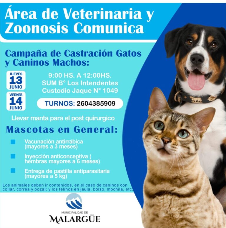 Esta semana habrá Campaña de Castración y Vacunación