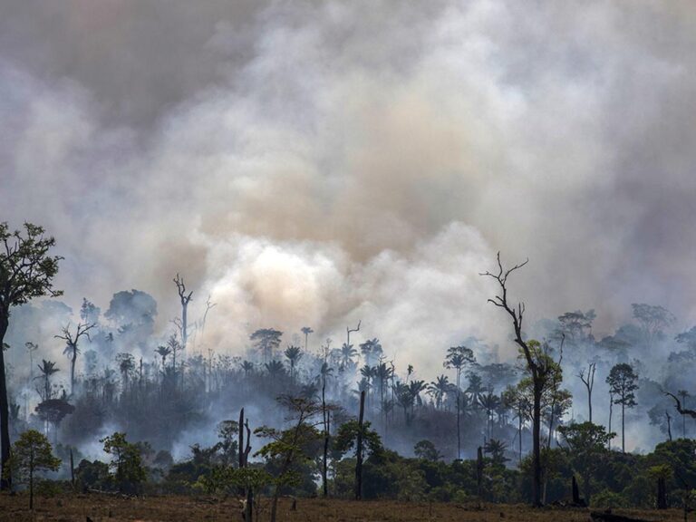 Tras las graves inundaciones en el sur, Brasil declara el estado de emergencia por incendios en el Mato Grosso