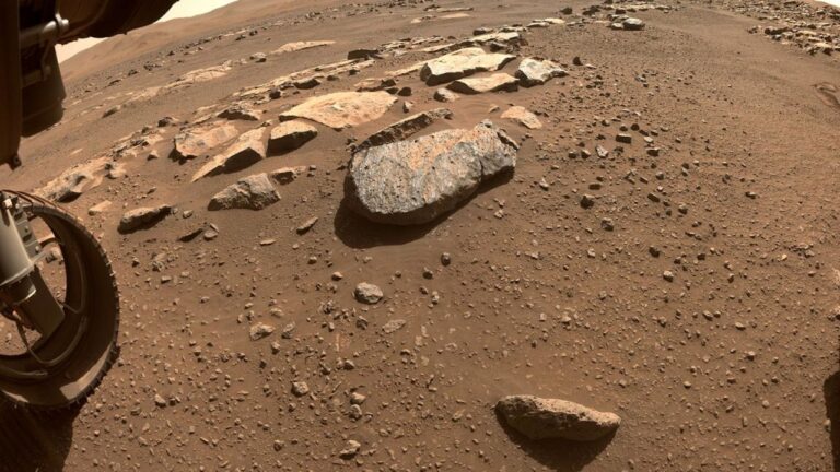 Hito en Marte y exaltación científica: la NASA encuentra indicios de posible vida antigua en el planeta rojo