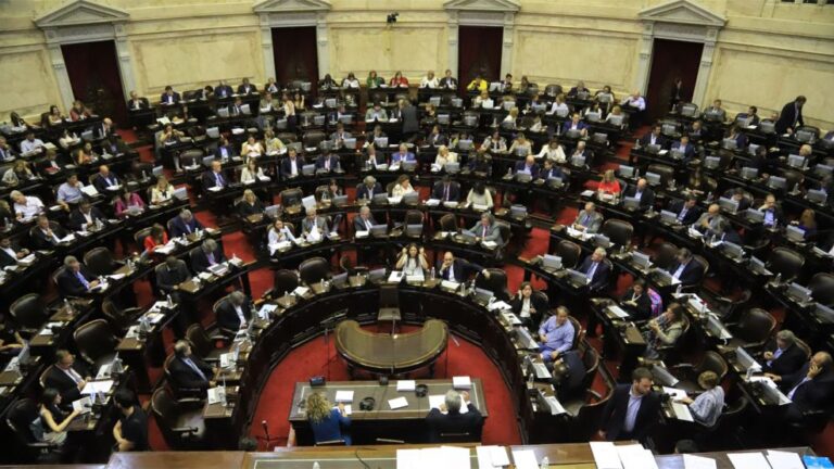 Diputados comienza a tratar el proyecto de ficha limpia para que no pueda haber candidatos condenados