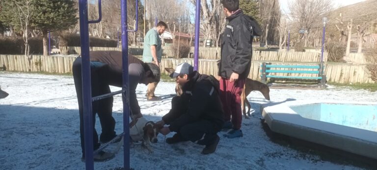 En Bardas Blancas y Las Loicas realizan distintos trabajos