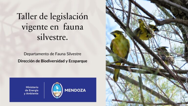 Fauna Silvestre da capacitaciones en todos los municipios sobre leyes y tráfico de animales