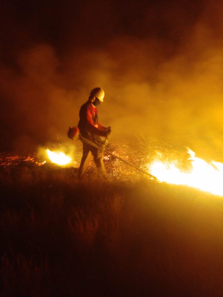 Personal de Protección Civil sofocó un incendio en Cerro Los Leones