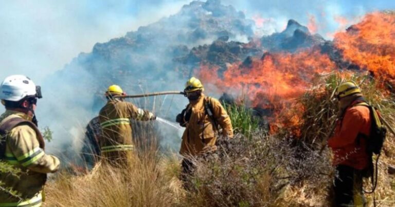 Incendios sin control en Córdoba: hay cuatro focos activos y se declaró a Punilla como zona de desastre