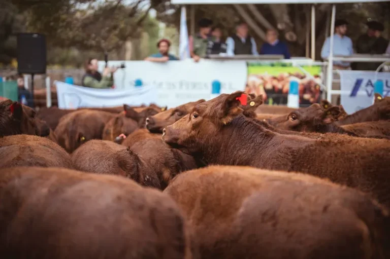 Mendoza fue sede de una importante jornada de precisión ganadera en General Alvear