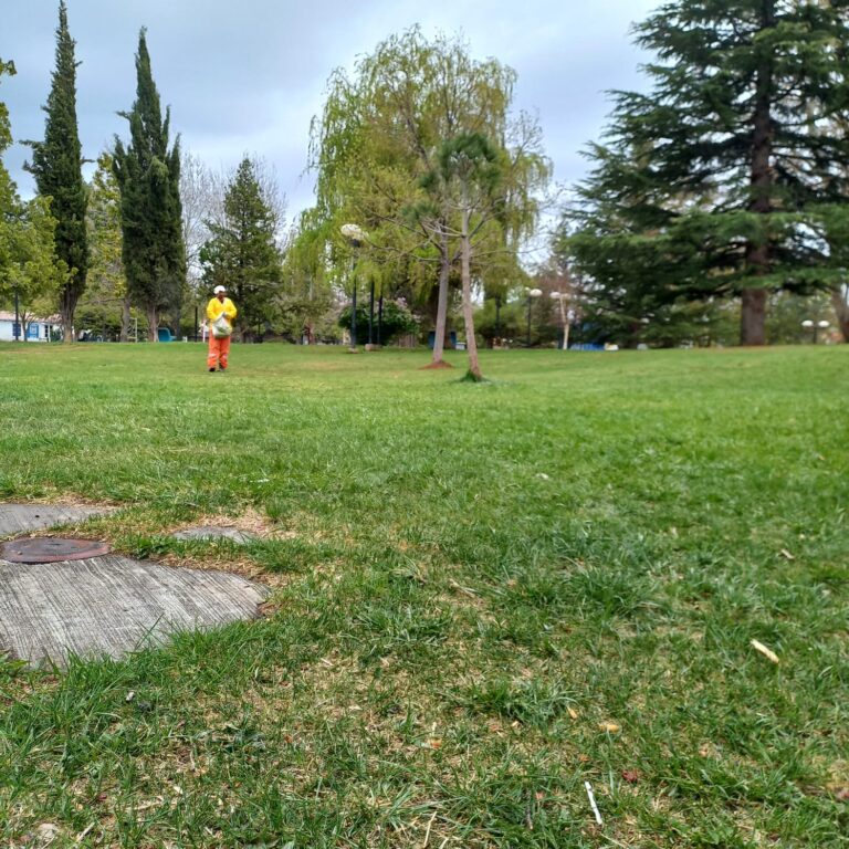 Espacios Verdes trabaja en la mejora de los parques y el embellecimiento de la ciudad