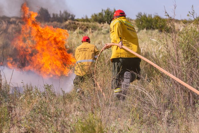 Capacitación y taller participativo del Plan Provincial de Manejo del Fuego de Mendoza para la Dirección de Hidráulica