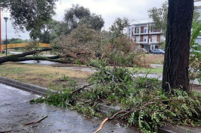 Bahía Blanca: colapsaron las calles, evacuaron un hospital y suspendieron las clases por el temporal