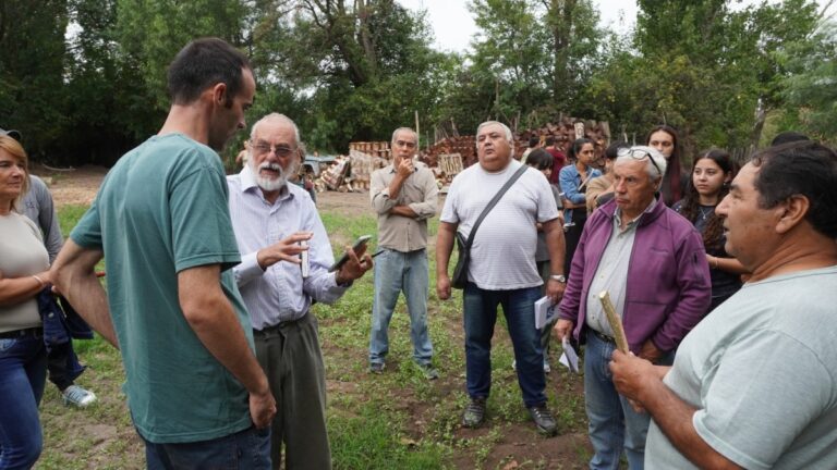 Capacitación sobre el manejo de estacas de álamo para productores