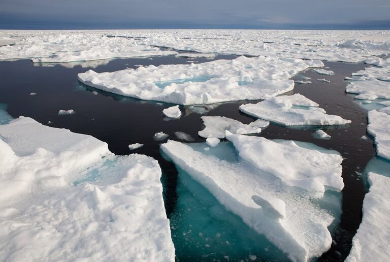 La cobertura de hielo marino mundial alcanzó su mínimo histórico durante el mes de febrero