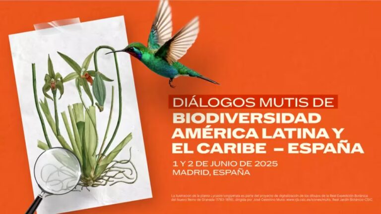 Por qué es urgente invertir en biodiversidad: “Con el discurso verde no alcanza, es tiempo de pasar a la acción”