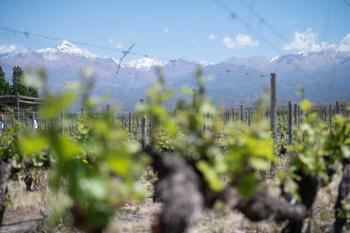 Llega un fin de semana largo para disfrutar de los paisajes y los sabores mendocinos