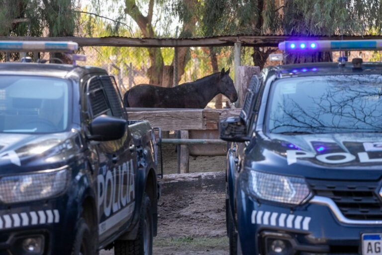 Plan Estratégico contra el Abigeato: la Policía Rural secuestró 771 kilos de carne en una carnicería de San Rafael