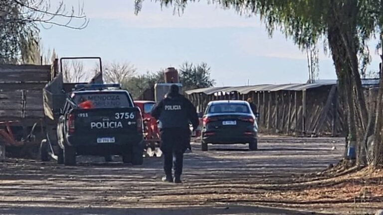 Tragedia en Mendoza: murieron una madre y su hijo por inhalación de monóxido de carbono