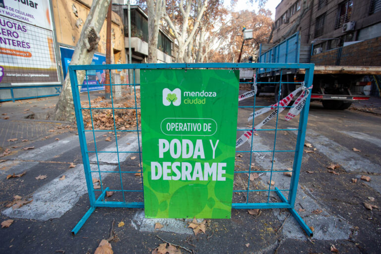 Ulpiano Suarez presenció las tareas de poda en el centro de la Ciudad