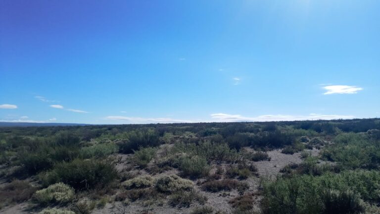 Convocatoria a Audiencia Pública para el Parque Solar Agua del Toro en San Rafael