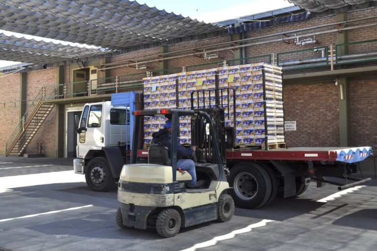El Iscamén inscribe a productores para el envío de frutas y hortalizas a zonas libres de mosca del Mediterráneo