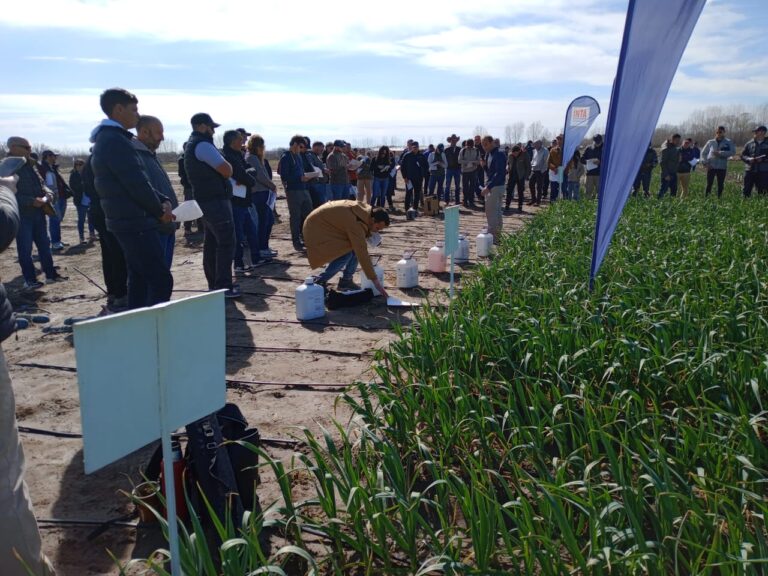 Mendoza fue sede del XVIII Curso Taller sobre Producción, Comercialización e Industrialización de Ajo