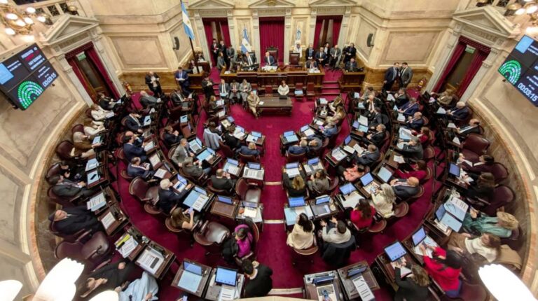 El Gobierno evalúa distintas alternativas para evitar promulgar la ley de Emergencia en Discapacidad