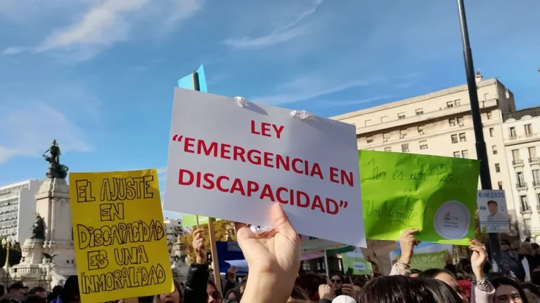 El Gobierno promulgó la Ley de Emergencia en Discapacidad, pero suspendió su aplicación