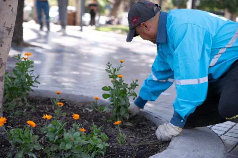 Servicios públicos en Ciudad: continúan los trabajos en arbolado y espacios verdes