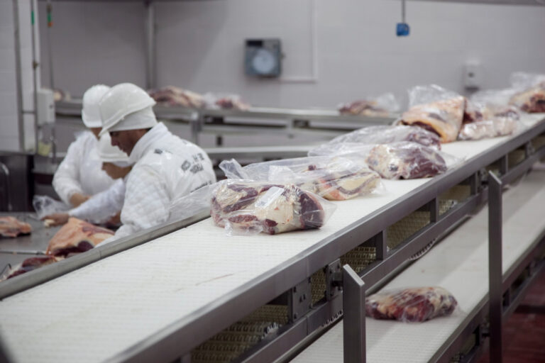 El gobierno de EE.UU. negocia cuadruplicar las importaciones de carne vacuna desde la Argentina