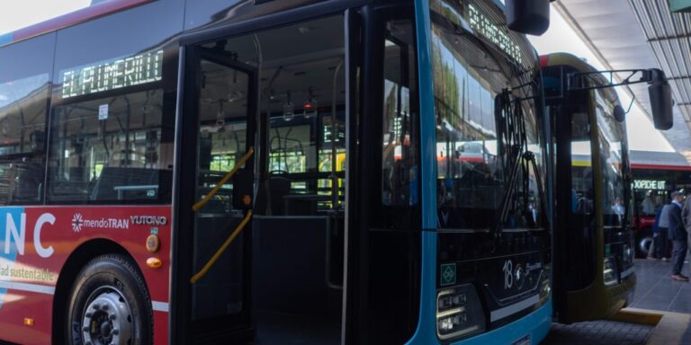 Elecciones y transporte: cómo funcionará el domingo próximo en corta, media y larga distancia