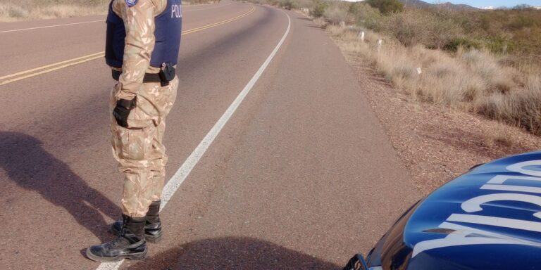 La Policía Rural frenó traslado irregular de ganado en el Sur provincial