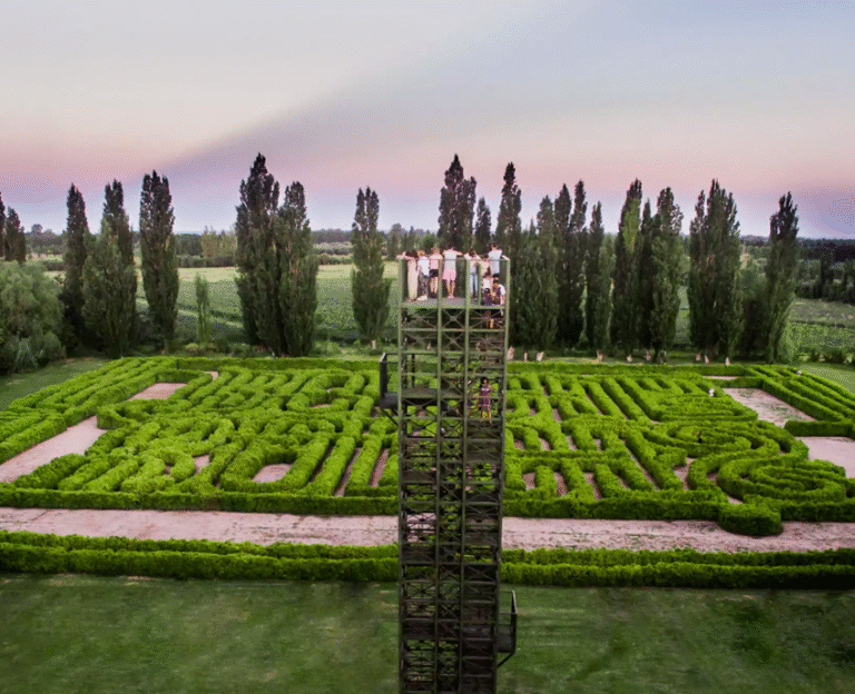 “La Ciudad Respira Mendoza” llega al Sur: una experiencia de bienestar en San Rafael