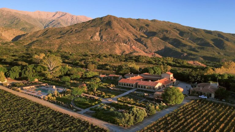 Estas 17 bodegas argentinas están entre las mejores del mundo según Forbes