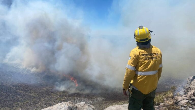 Lograron contener el incendio en la zona de Cerro Nevado