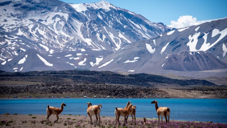 Laguna del Diamante abre sus puertas al público este 14 de enero tras el despeje del circuito de acceso