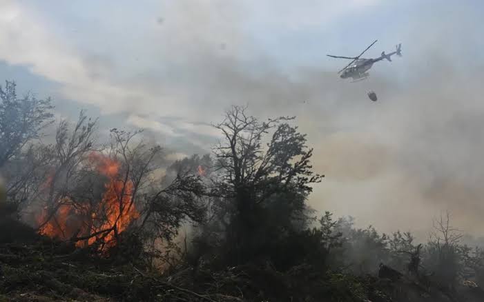 Incendios en Chubut: las lluvias de las últimas horas no alcanzaron y sigue la alerta máxima