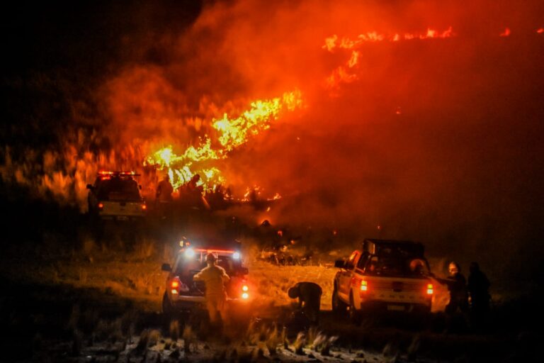 Milei decretó la Emergencia para las provincias afectadas por los incendios