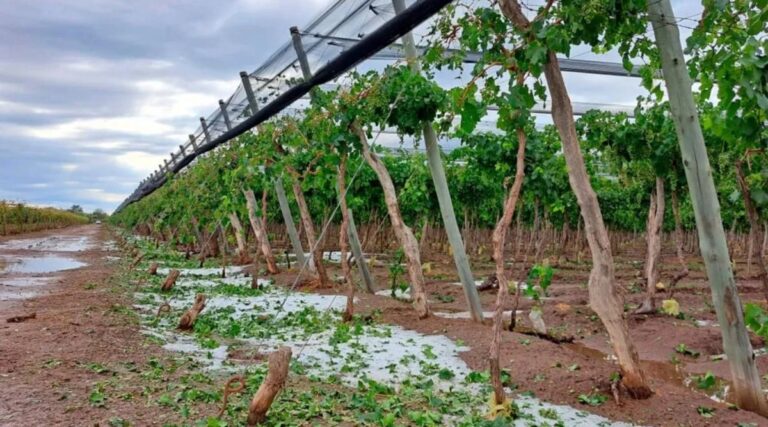 Emergencia agropecuaria para productores afectados por contingencias climáticas