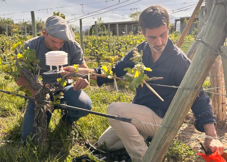 Innovación tecnológica y articulación público-privada: avanza un proyecto del Hub de Impacto Huella Mendoza