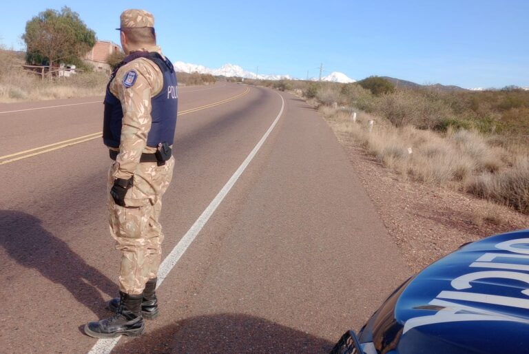 General Alvear: Policía Rural decomisó más de 56 kilos de alimentos por infracciones sanitarias