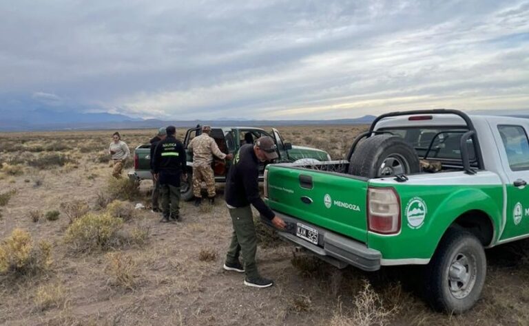 Operativo conjunto en San Rafael: detectan caza furtiva de piches y refuerzan controles sobre fauna y náutica