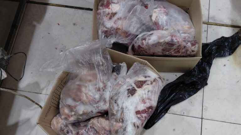 En Malargüe decomisaron más de 63 kilos de carne durante controles del Plan Estratégico contra el Abigeato
