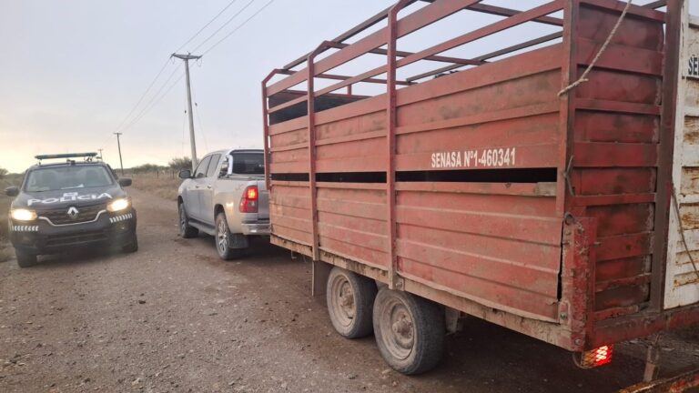 Controles de Policía Rural: secuestraron animales y un tráiler en General Alvear