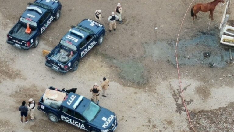 Canes, drones y Policía Rural: un operativo coordinado permitió esclarecer el robo de dos caballos en Maipú