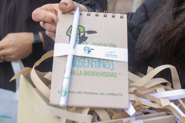 La Ciudad conmemora el Mes del Ambiente con actividades inspiradas por la naturaleza, el clima y el futuro