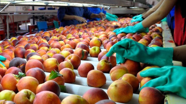 Abren las inscripciones para Mendoza Southern Food, la ronda de negocios que traerá compradores de alimentos y bebidas