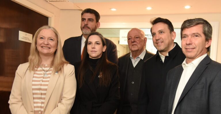 Mendoza presentó el proyecto de ley para implementar el nuevo Régimen Penal Juvenil